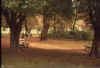 autumn.jpg (25546 bytes)